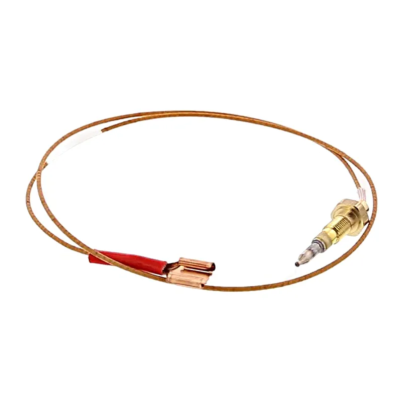 Termopar para horno  para SAUTER SCM1090R